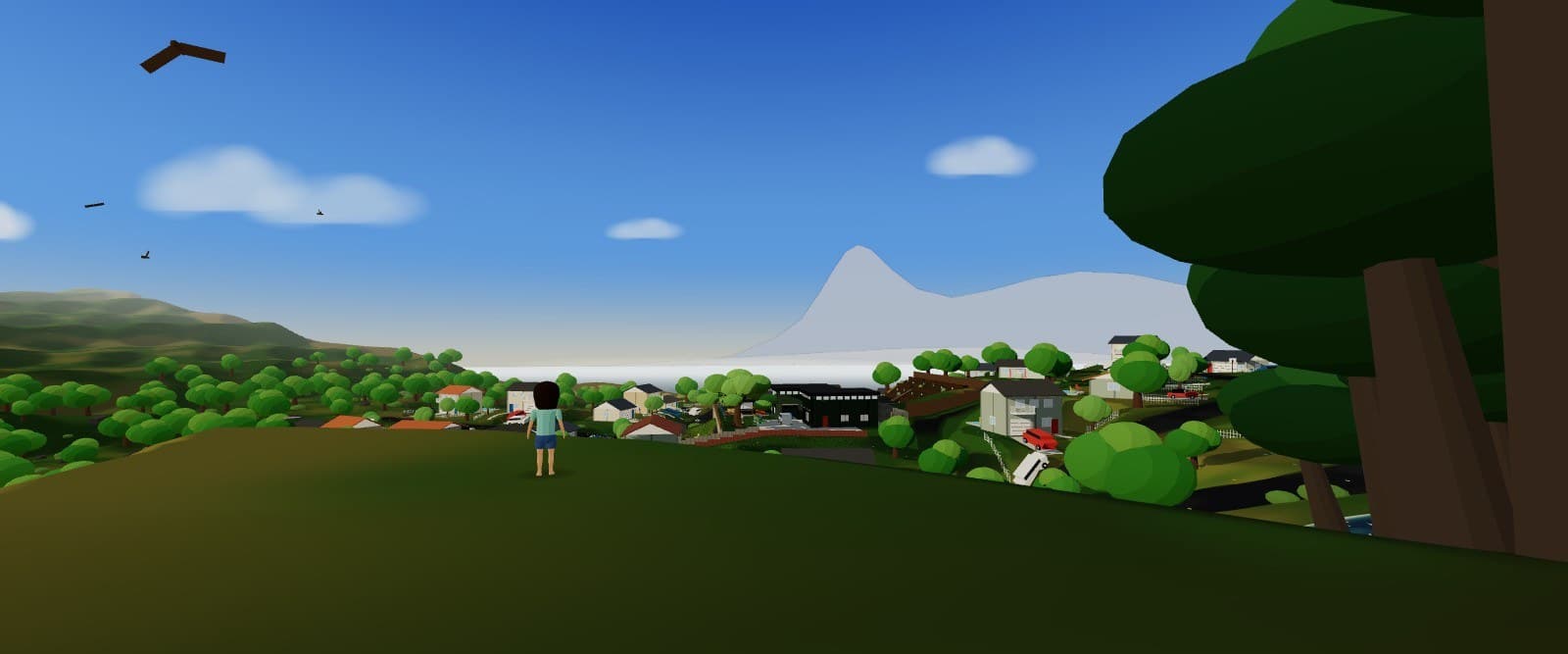 A small figure standing alone on an open grass hillside, looking out over a neighbourhood, a fog bank and a mountain in the distance, with hawks circling overhead.